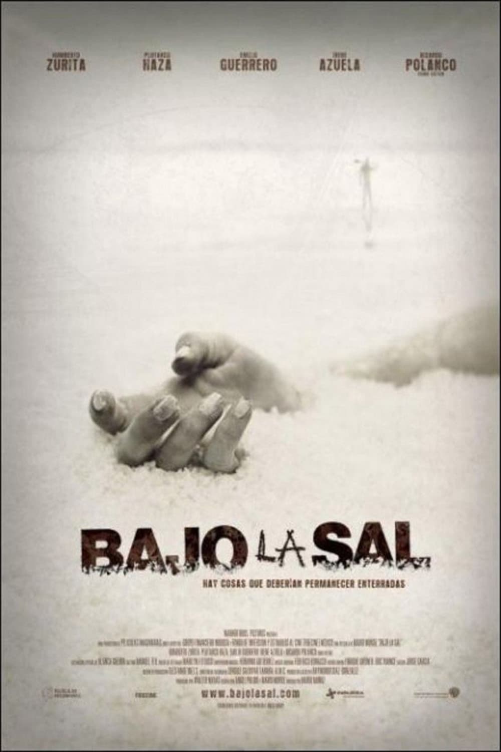 Póster de Bajo la sal