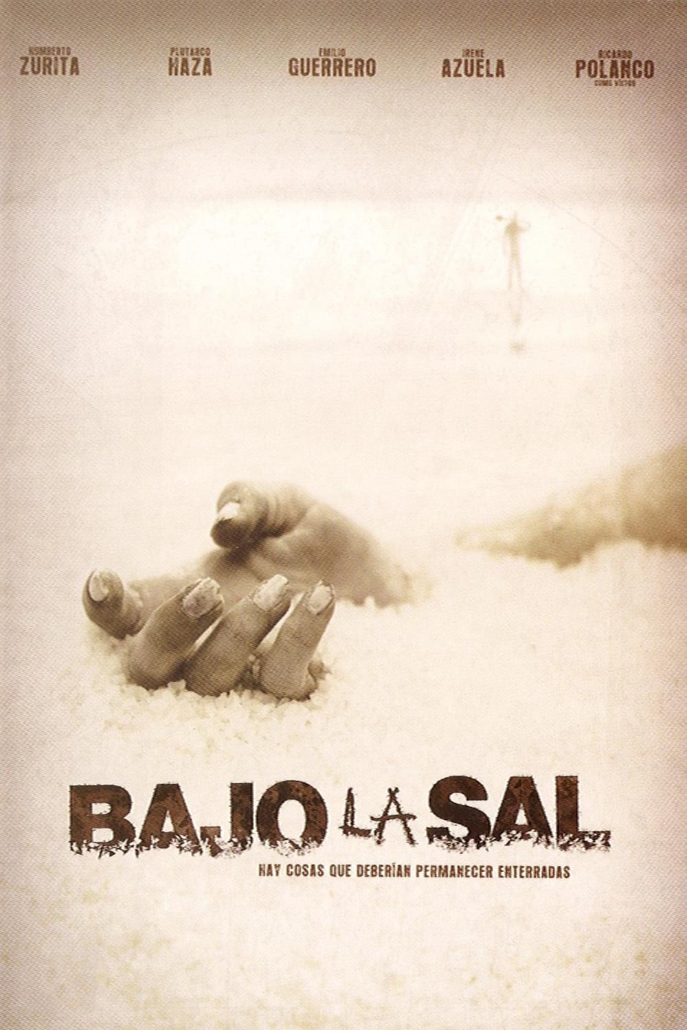 Póster de Bajo la sal