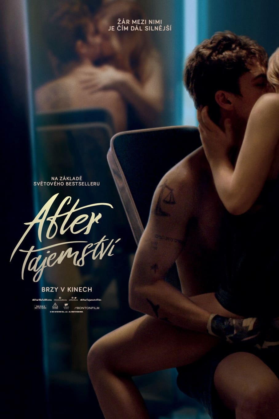 Poster of After We Fell
