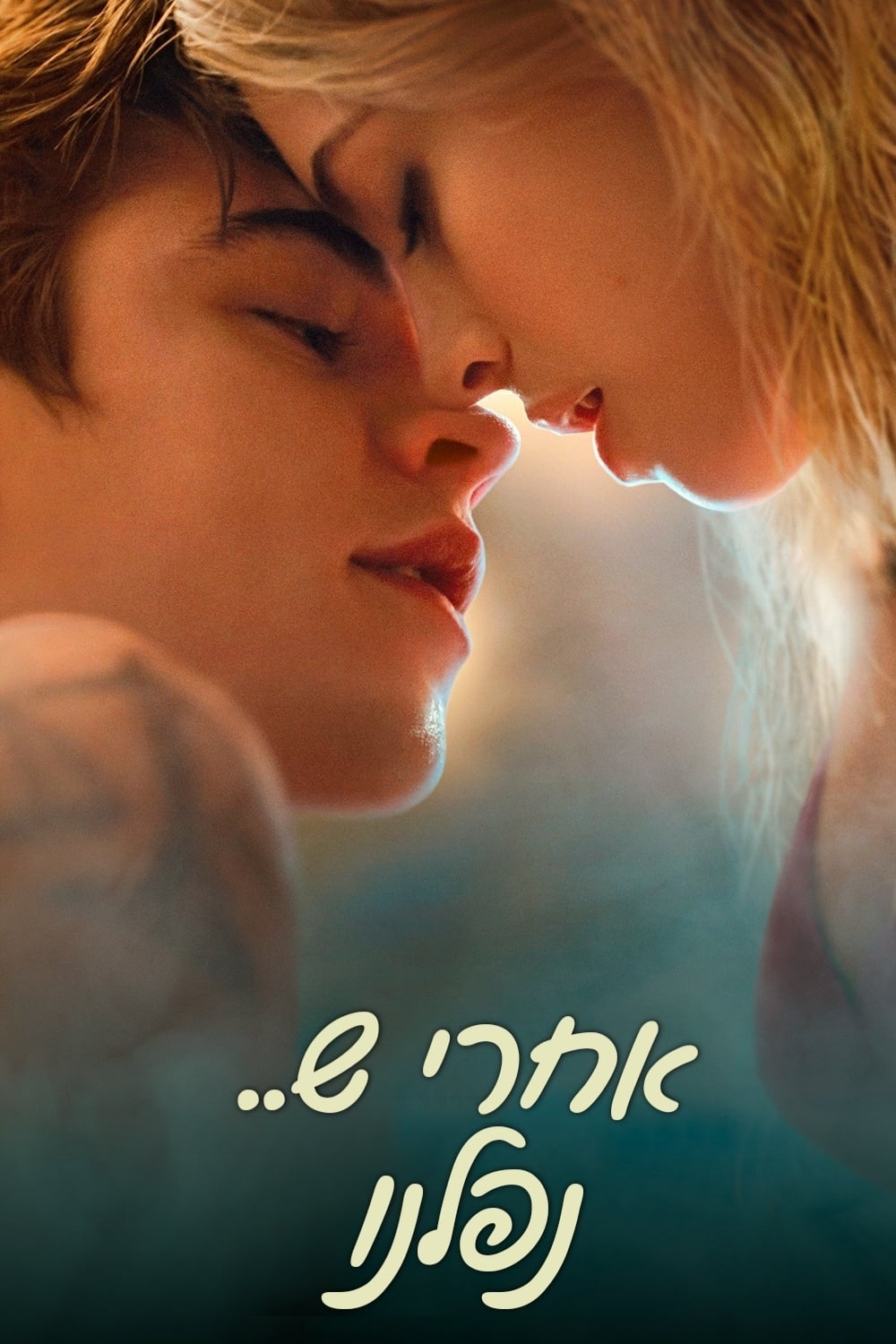 Poster of After We Fell