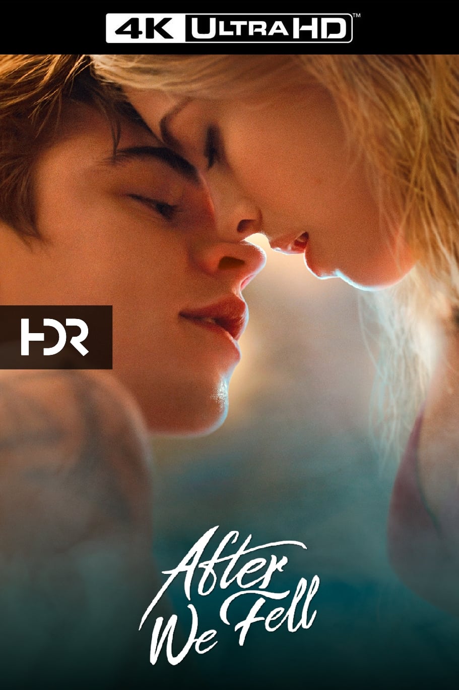 Poster of After We Fell