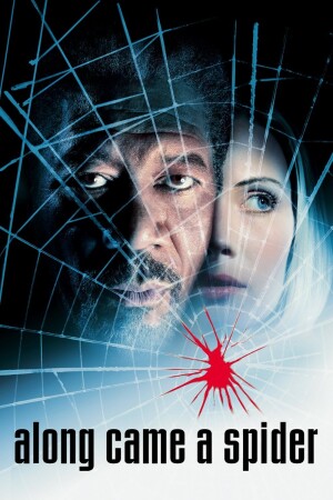 Póster de la película La hora de la araña
