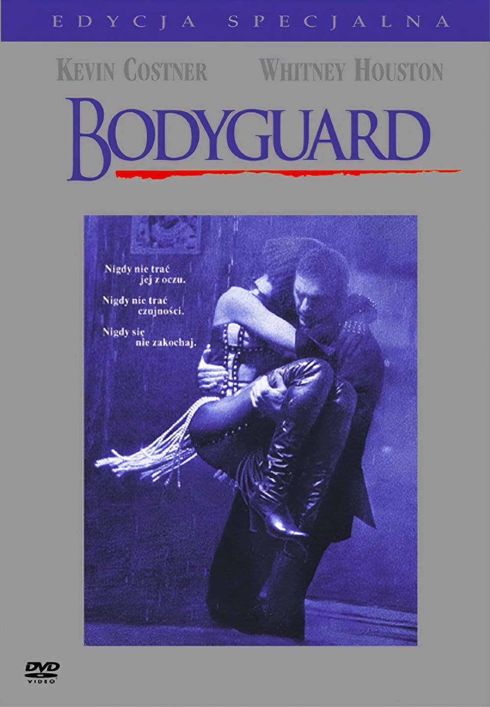 Poster of The Bodyguard
