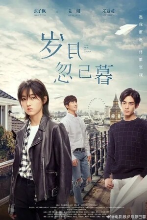 Póster de la película 岁月忽已暮
