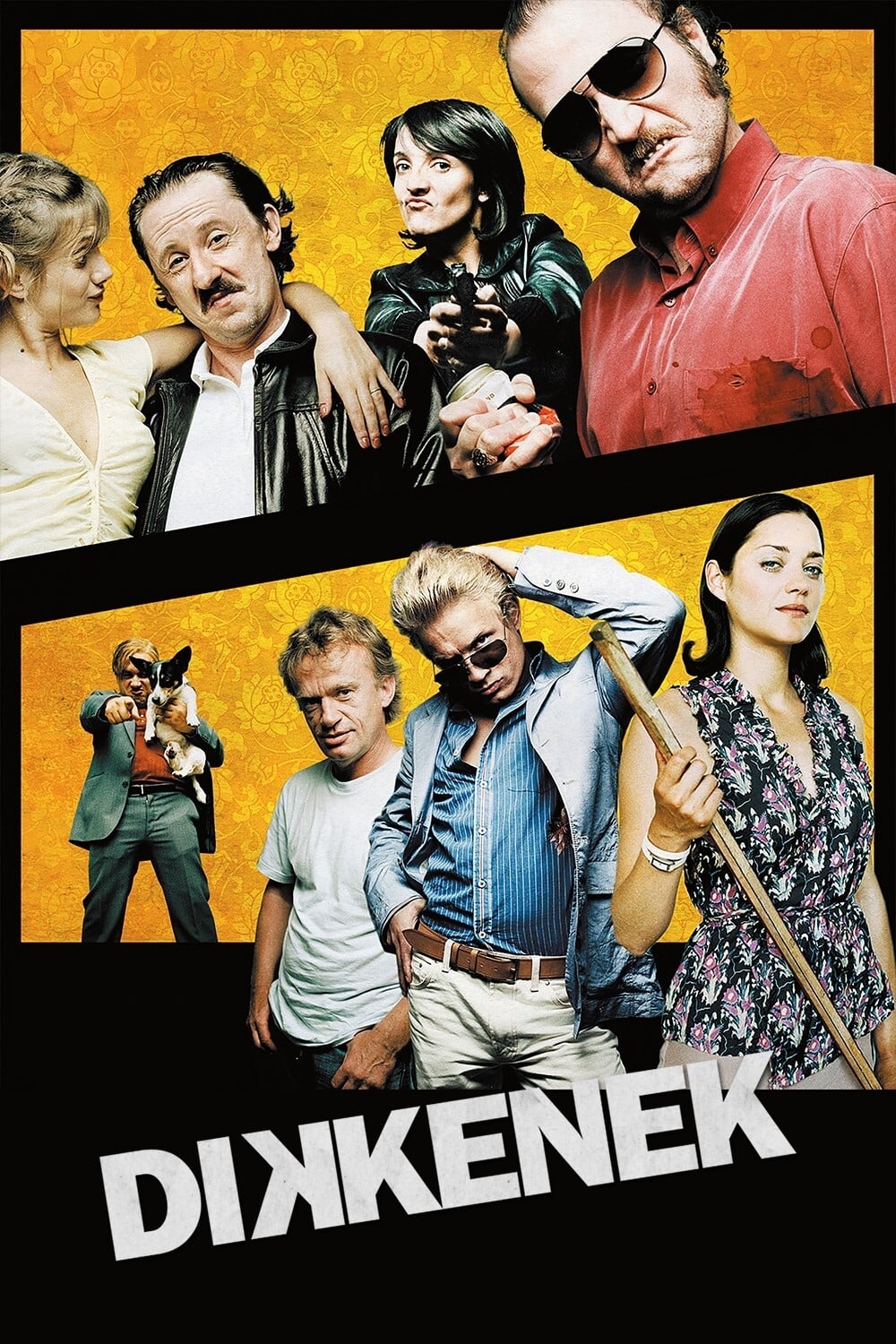 Poster of Dikkenek