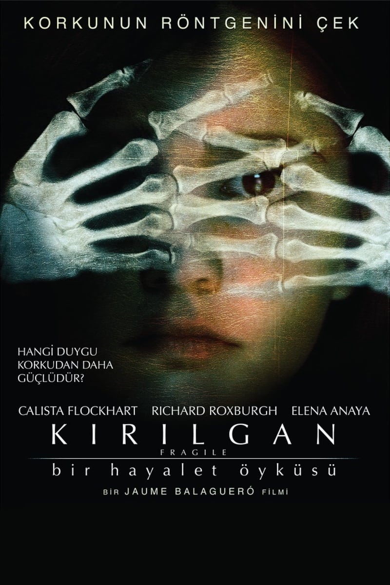 Póster de Frágiles