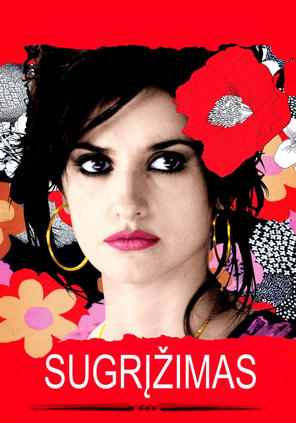 Póster de Volver