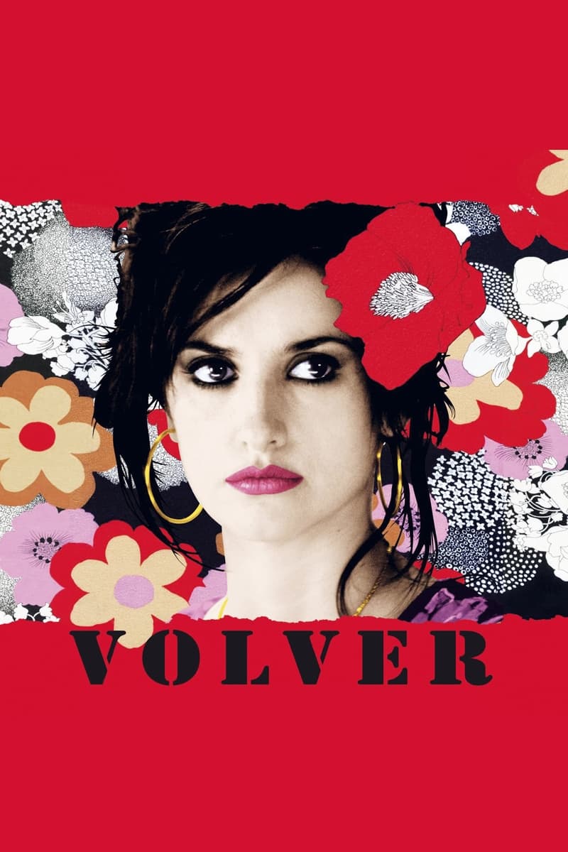 Póster de Volver