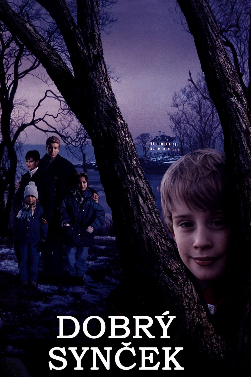 Poster of The Good Son