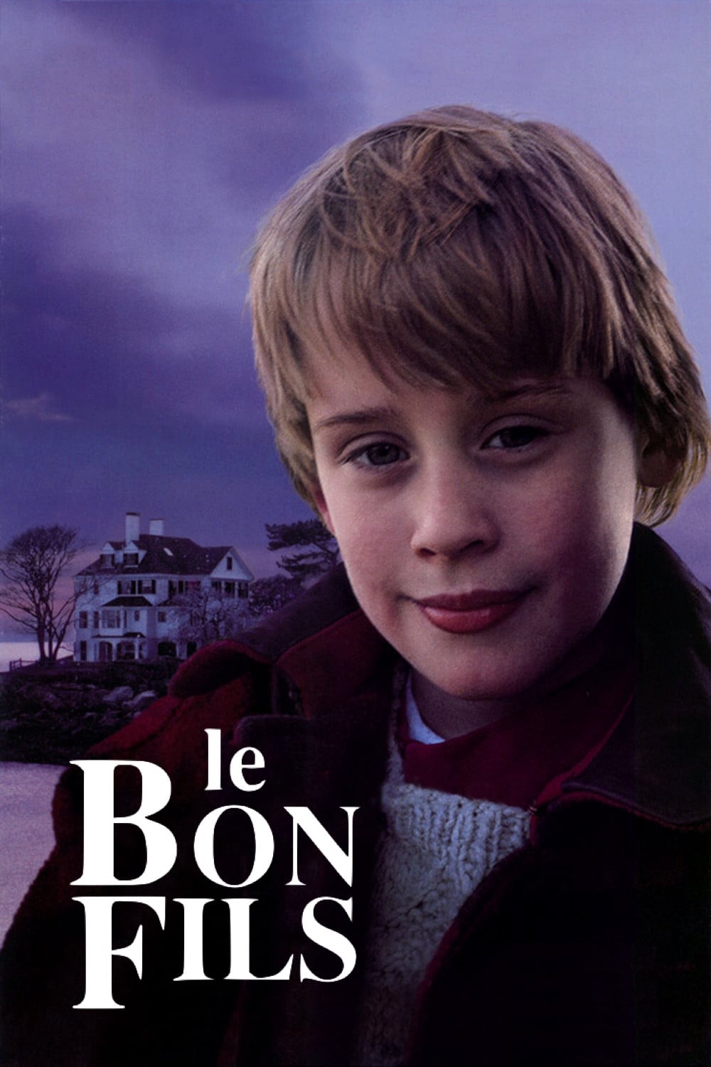 Poster of The Good Son