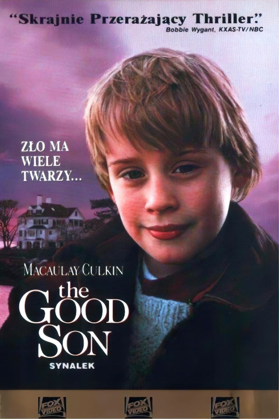 Poster of The Good Son