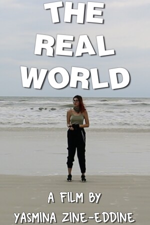 The Real World film poster