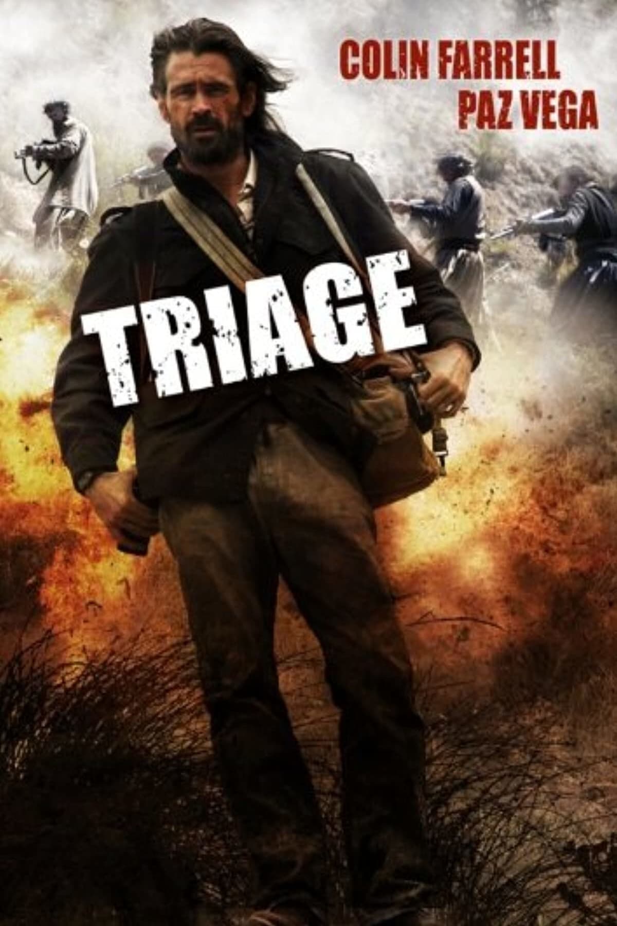 Póster de Triage