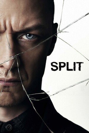 Split film poster