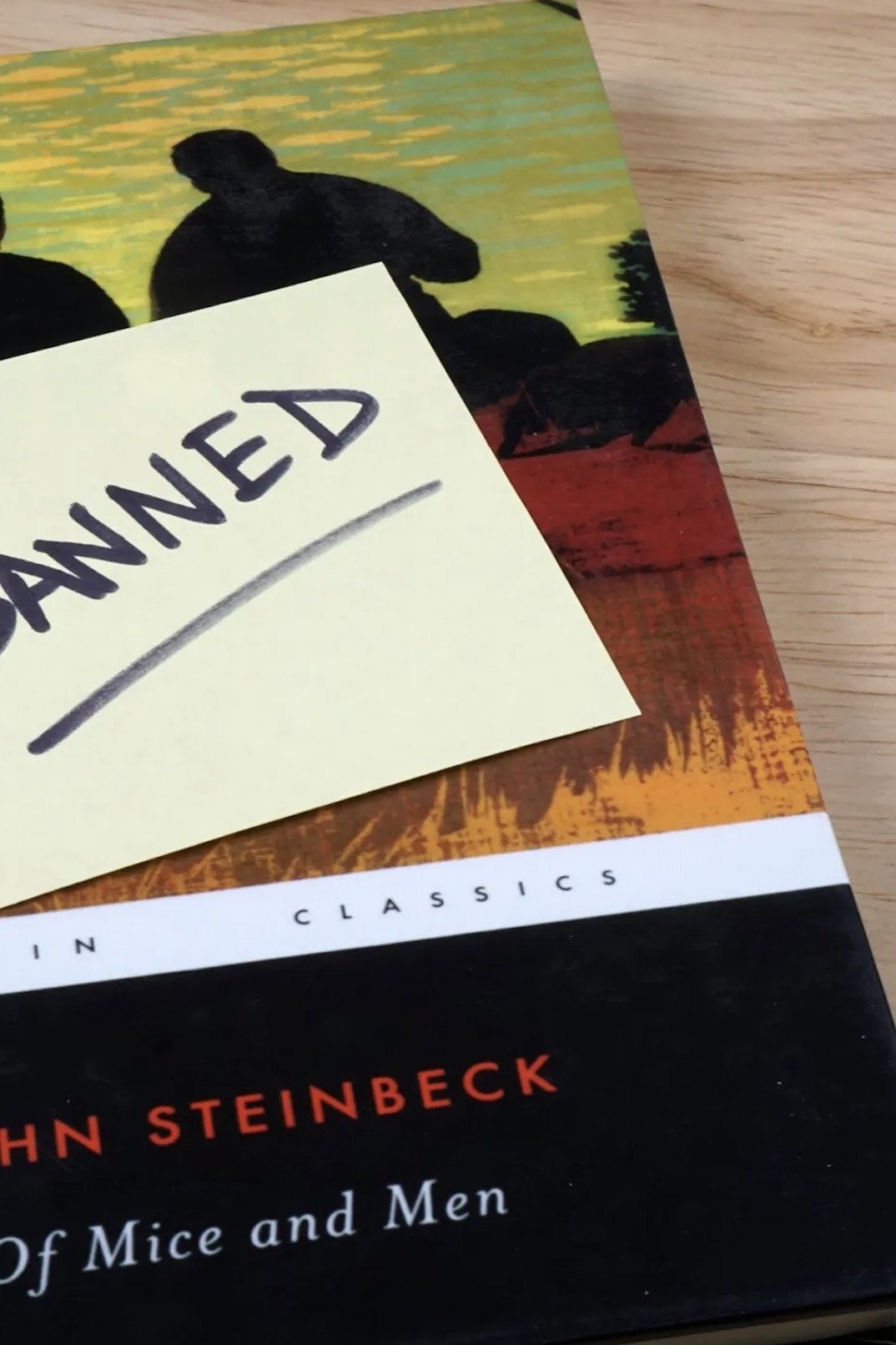 Dónde se rodó Library Wars: A New Front In America's Cultural Wars