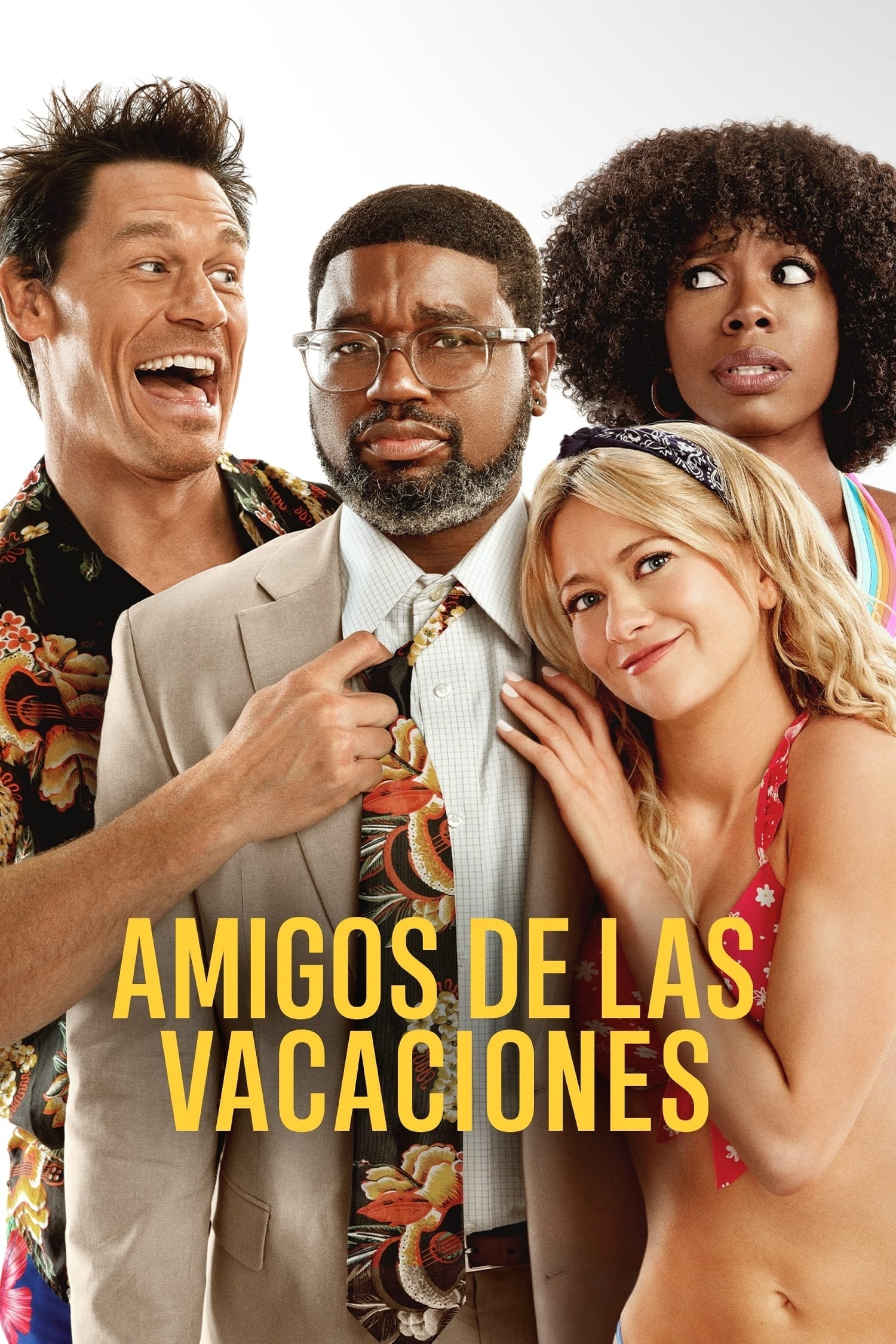 Póster de Amigos pasajeros