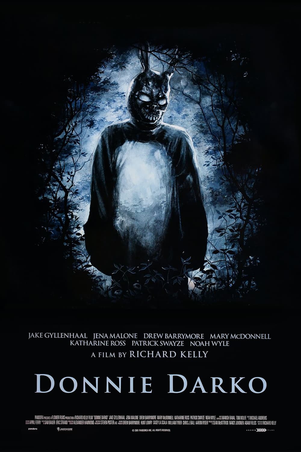 Poster of Donnie Darko