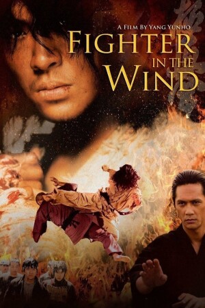 Póster de la película Fighter in the Wind
