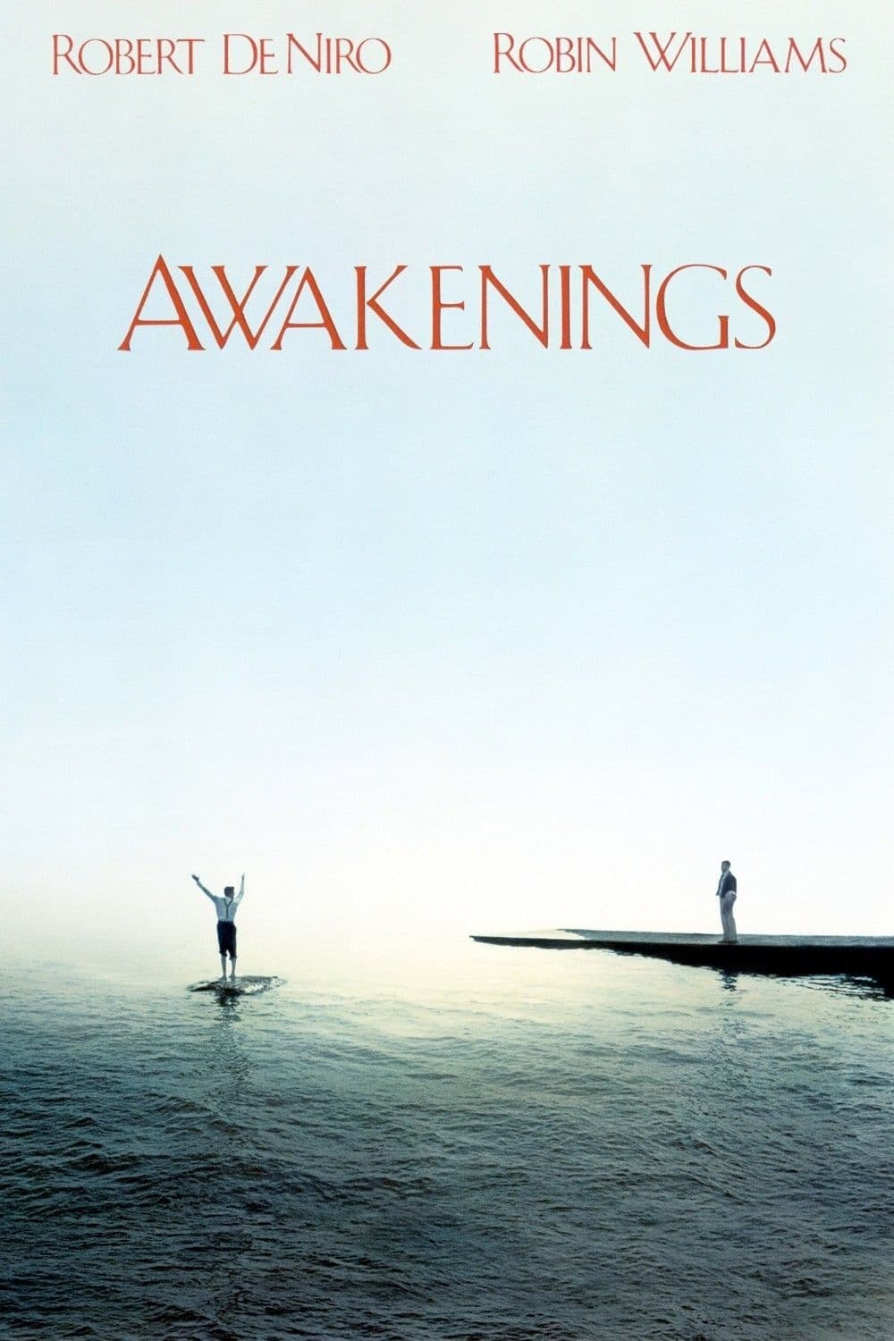 Póster de Despertares