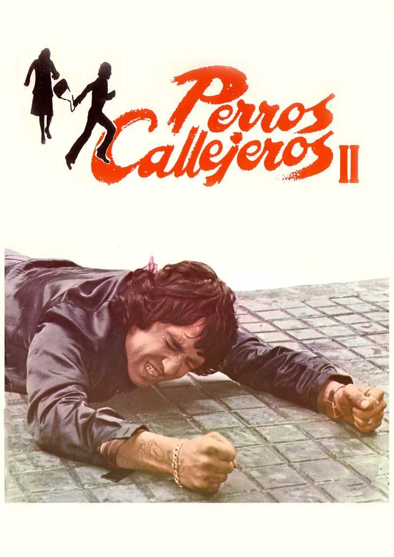 Póster de Perros callejeros II