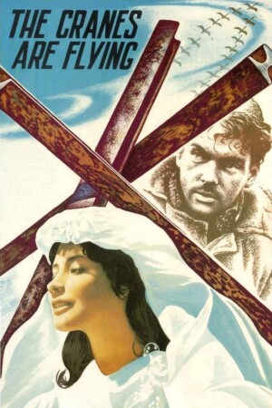 Póster de la película Cuando pasan las cigüeñas