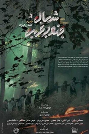 North by Southwest film poster
