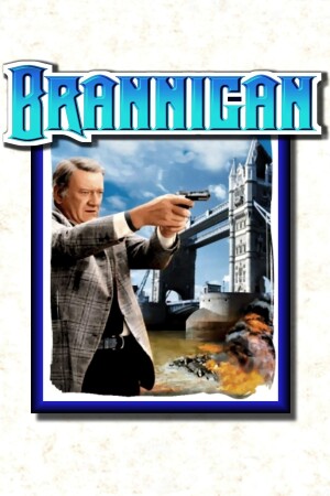 Póster de la película Brannigan
