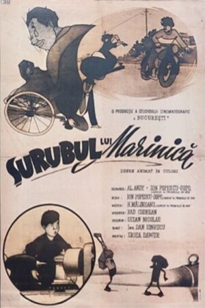Marinica's Bodkin film poster