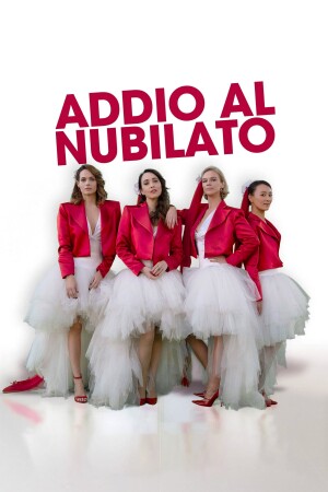 The Bachelorette Party film poster