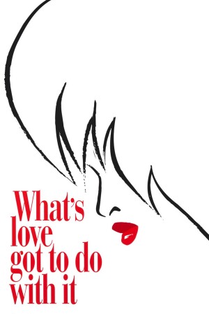 What's Love Got to Do with It film poster