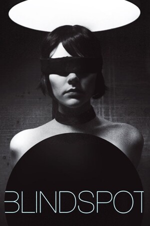 Blindspot film poster