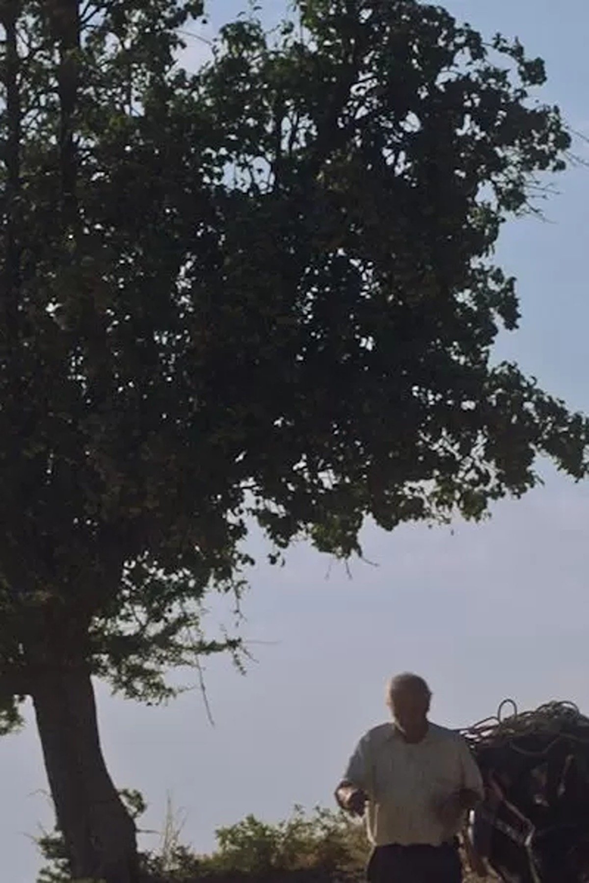 Dónde se rodó L'ultimo asino