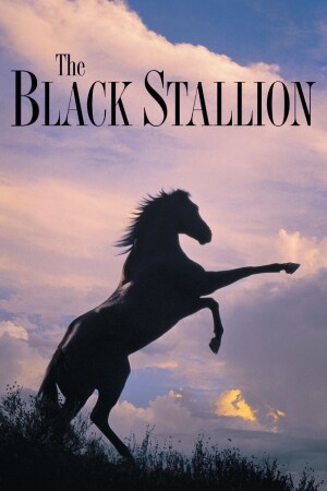 Póster de la película El corcel negro