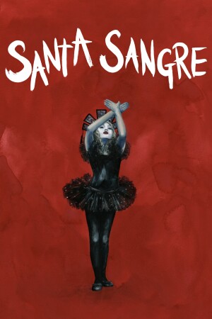 Santa Sangre film poster