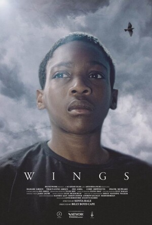 Wings film poster