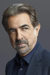 Photo of Joe Mantegna