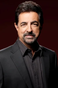 Photo of Joe Mantegna