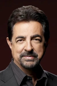 Photo of Joe Mantegna