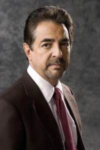 Photo of Joe Mantegna