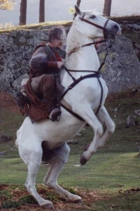 Photo of Mark Henson