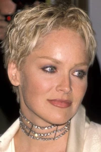 Foto de Sharon Stone
