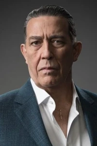 Photo of Ciarán Hinds