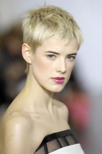 Foto de Agyness Deyn