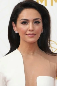 Photo of Nazanin Boniadi