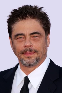 Photo of Benicio del Toro