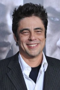 Photo of Benicio del Toro